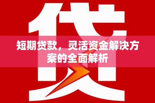 宾川短期贷款，灵活资金解决方案的全面解析