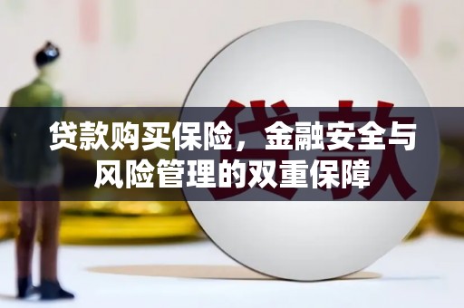 宾川贷款购买保险，金融安全与风险管理的双重保障