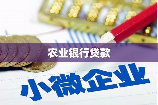 宾川农业银行贷款