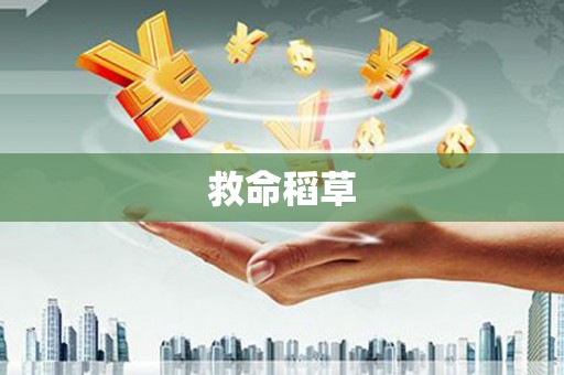 宾川救命稻草