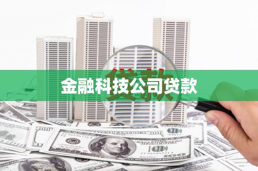 宾川金融科技公司贷款