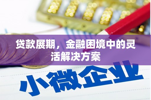 宾川贷款展期，金融困境中的灵活解决方案