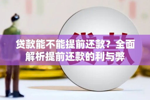 宾川贷款能不能提前还款？全面解析提前还款的利与弊