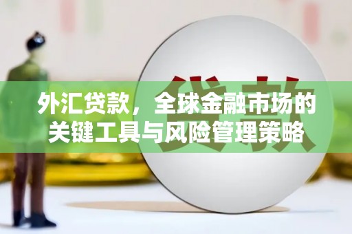 宾川外汇贷款，全球金融市场的关键工具与风险管理策略