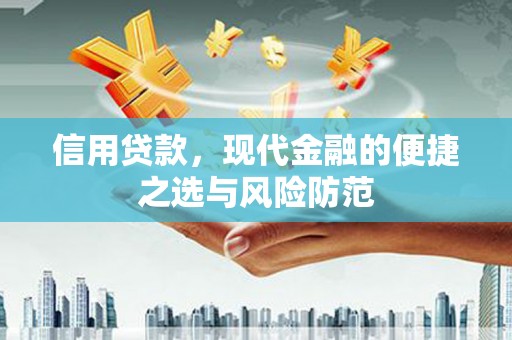 宾川信用贷款，现代金融的便捷之选与风险防范