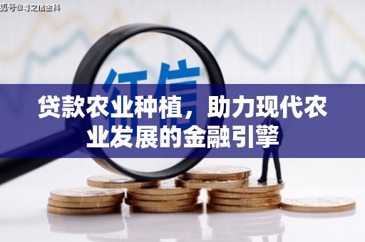 宾川贷款农业种植，助力现代农业发展的金融引擎