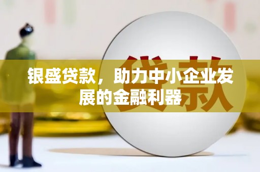 宾川银盛贷款，助力中小企业发展的金融利器