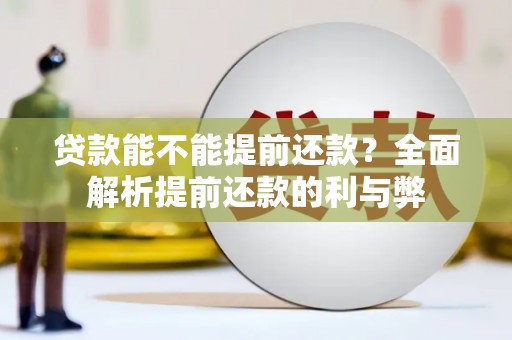宾川贷款能不能提前还款？全面解析提前还款的利与弊
