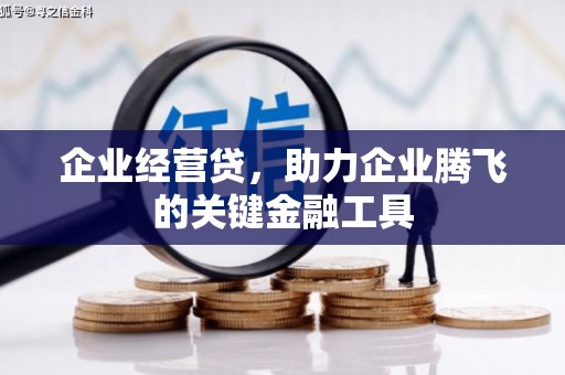 宾川企业经营贷，助力企业腾飞的关键金融工具