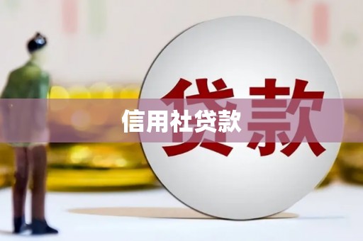 宾川信用社贷款