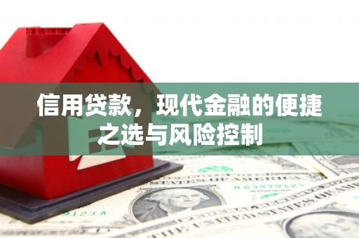 宾川信用贷款，现代金融的便捷之选与风险控制