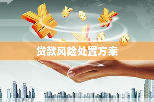 宾川贷款风险处置方案