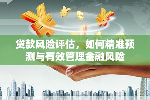 宾川贷款风险评估，如何精准预测与有效管理金融风险
