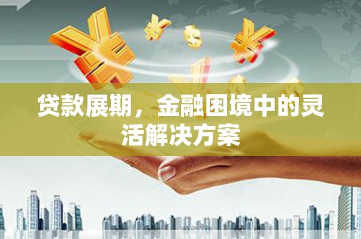宾川贷款展期，金融困境中的灵活解决方案