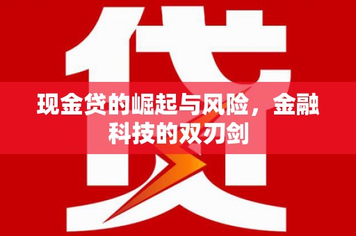 宾川现金贷的崛起与风险，金融科技的双刃剑