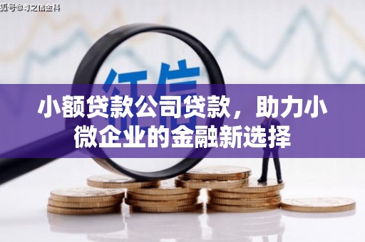 宾川小额贷款公司贷款，助力小微企业的金融新选择