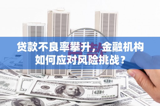 宾川贷款不良率攀升，金融机构如何应对风险挑战？
