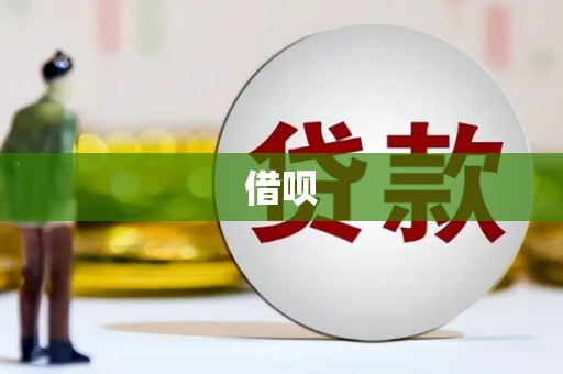宾川借呗