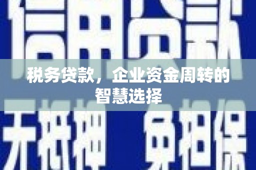宾川税务贷款，企业资金周转的智慧选择