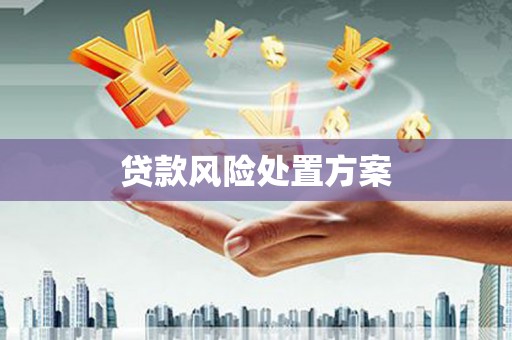 宾川贷款风险处置方案