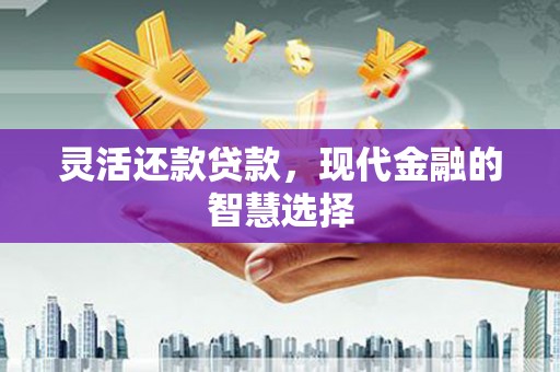 宾川灵活还款贷款，现代金融的智慧选择