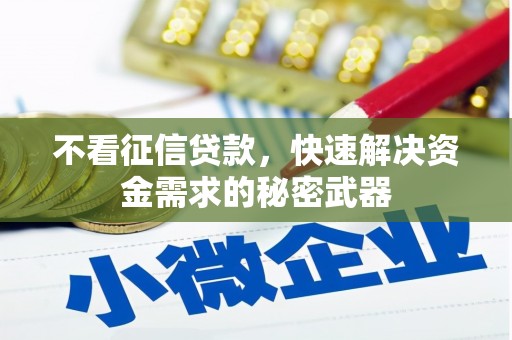 宾川不看征信贷款，快速解决资金需求的秘密武器