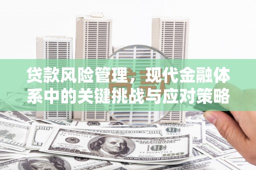 宾川贷款风险管理，现代金融体系中的关键挑战与应对策略