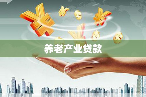 宾川养老产业贷款