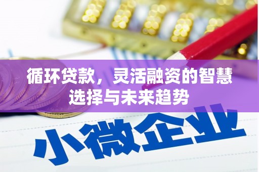 宾川循环贷款，灵活融资的智慧选择与未来趋势