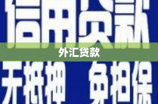 宾川外汇贷款