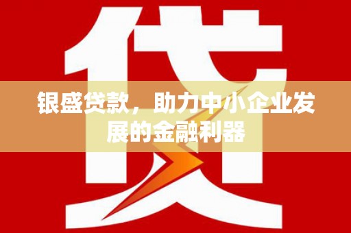 宾川银盛贷款，助力中小企业发展的金融利器