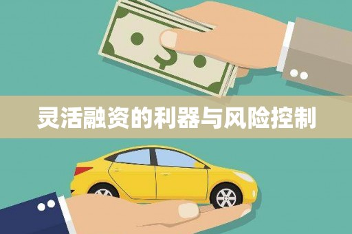 宾川灵活融资的利器与风险控制