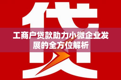 宾川工商户贷款助力小微企业发展的全方位解析