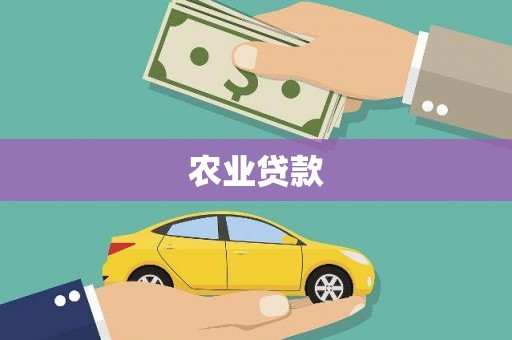 宾川农业贷款