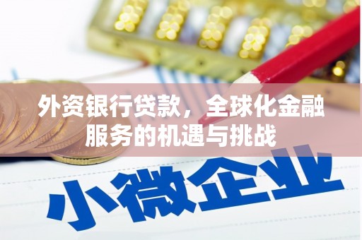 宾川外资银行贷款，全球化金融服务的机遇与挑战