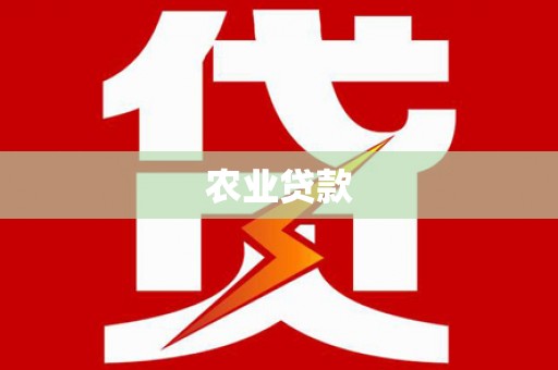 宾川农业贷款