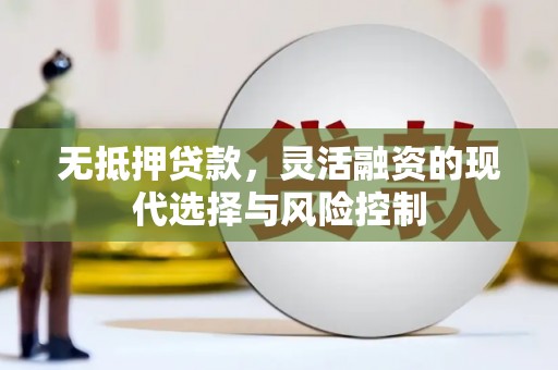 宾川无抵押贷款，灵活融资的现代选择与风险控制