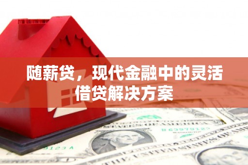 宾川随薪贷，现代金融中的灵活借贷解决方案