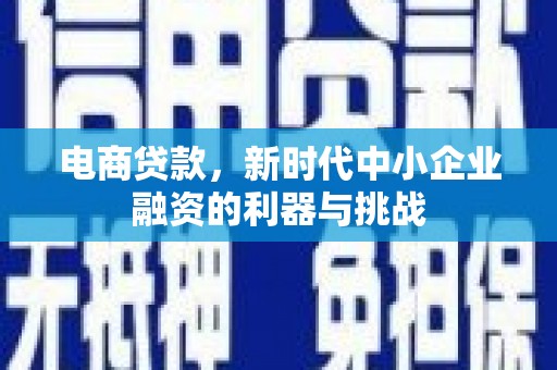 宾川电商贷款，新时代中小企业融资的利器与挑战