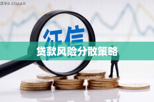 宾川贷款风险分散策略
