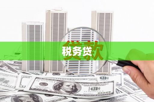 宾川税务贷