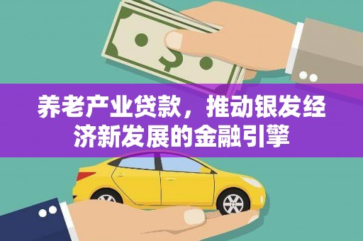 宾川养老产业贷款，推动银发经济新发展的金融引擎