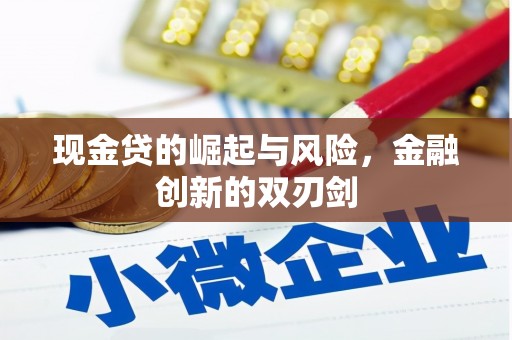 宾川现金贷的崛起与风险，金融创新的双刃剑