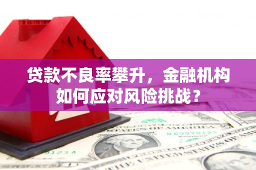 宾川贷款不良率攀升，金融机构如何应对风险挑战？