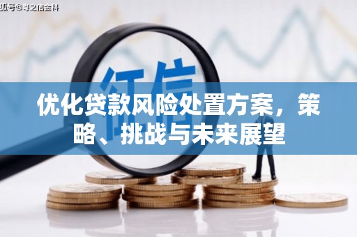 宾川优化贷款风险处置方案，策略、挑战与未来展望