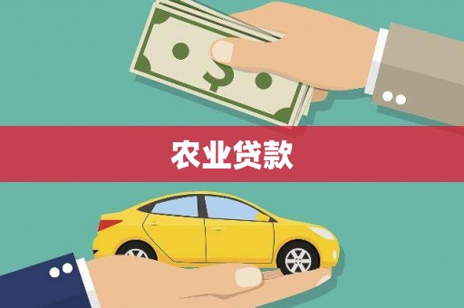 宾川农业贷款