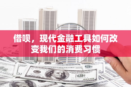 宾川借呗，现代金融工具如何改变我们的消费习惯