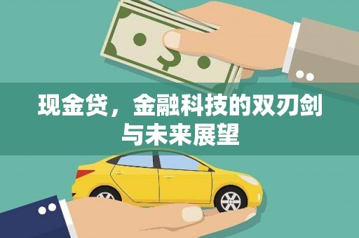 宾川现金贷，金融科技的双刃剑与未来展望