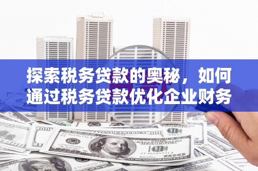 宾川探索税务贷款的奥秘，如何通过税务贷款优化企业财务