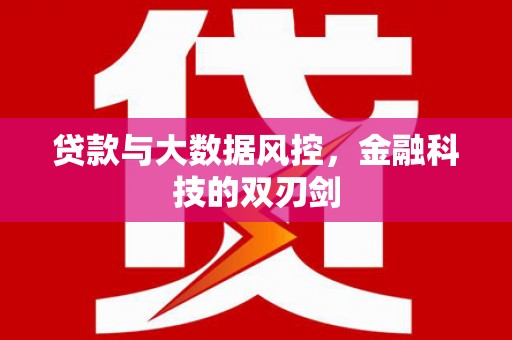 宾川贷款与大数据风控，金融科技的双刃剑